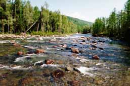 ��� � ����� �������